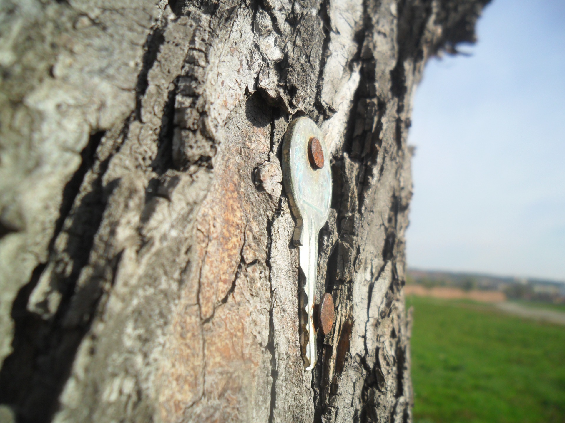 Natália Štetinová, Kľúč do, či z prírody?, ZŠ Holíč, Slovensko, 3.miesto